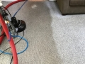 carpet-cleaning-31