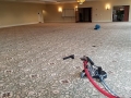 carpet-cleaning-18