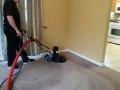 carpet-cleaning-21