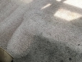 smithtown-carpet-cleaning-2