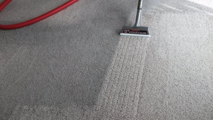Bohemia Carpet Cleaner image