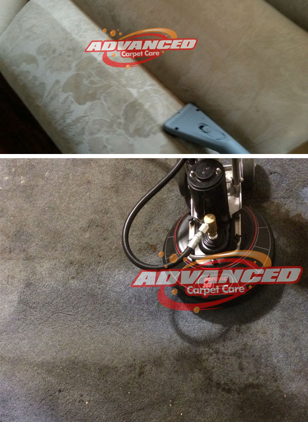 long island carpet cleaning
