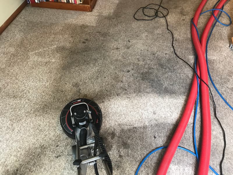East Islip Carpet Cleaning image